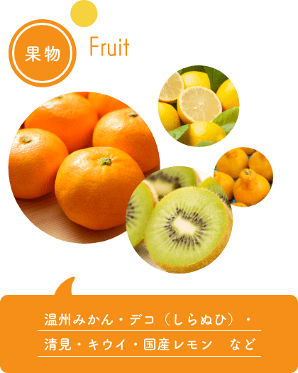 果物…温州みかん・デコ（しらぬひ）・清見・キウイ・国産レモンなど