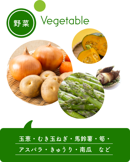 野菜…玉葱・むき玉ねぎ・馬鈴薯・筍・アスパラ・きゅうり・南瓜など